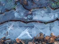 Bandförmige Struktur in Eispfütze